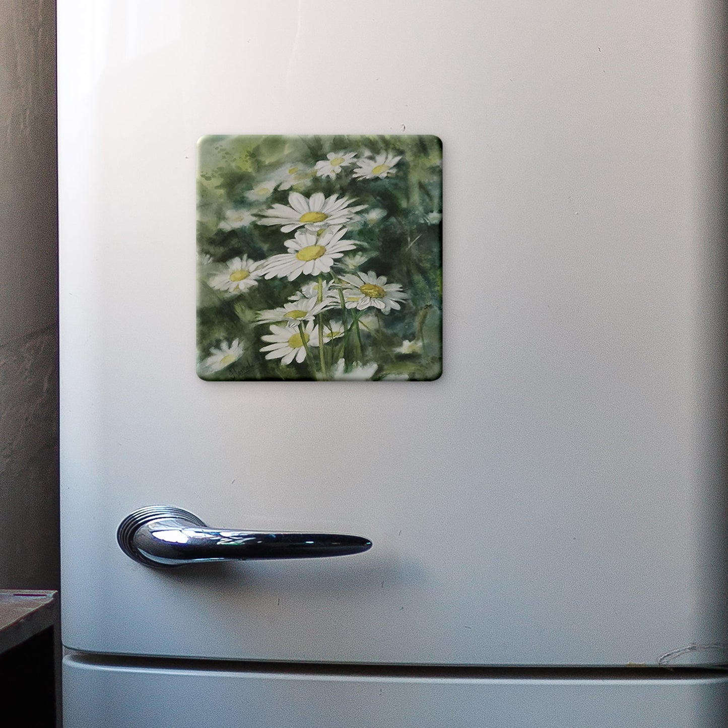 Daisies-3 Photo Magnet (Pack of 5)