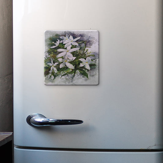 Daisies 2 Photo Magnet (Pack of 5)